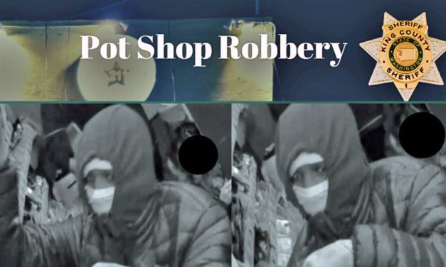 Police seeking public’s help finding ‘dangerous, armed’ pot shop robbers