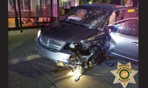 Police chase stolen minivan, arrest driver after it crashes in White Center