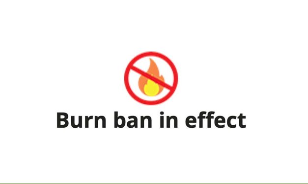 Fire Marshal issues burn ban for unincorporated areas in King County