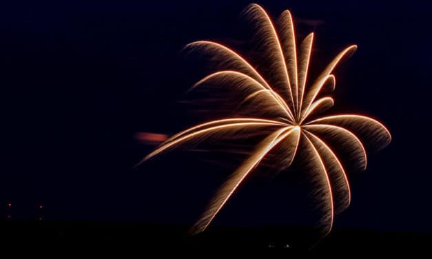 REMINDER: Use and/or sale of consumer fireworks prohibited in unincorporated King County