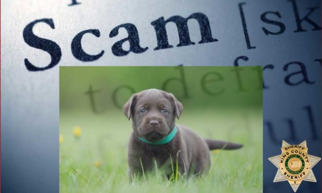 Police issue warning not to fall for ‘Puppy Scam’ like White Center resident did