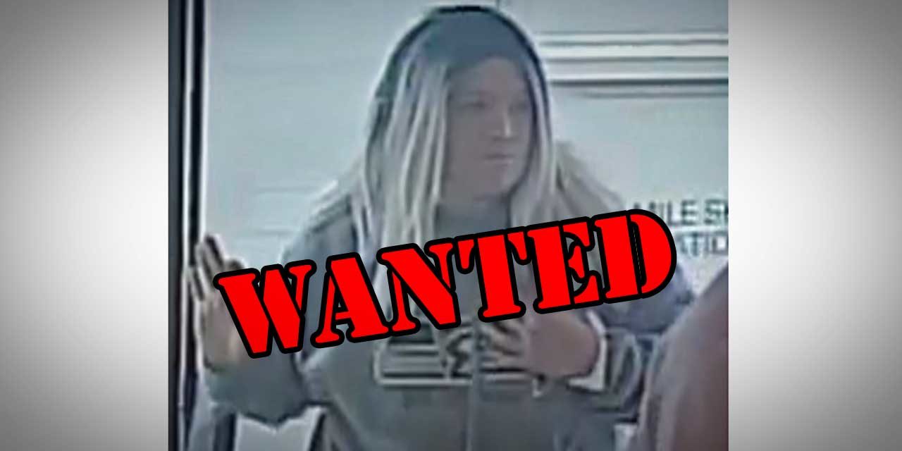 Boulevard Park Retirement Home victim to purse snatching Tuesday; recognize this suspect?