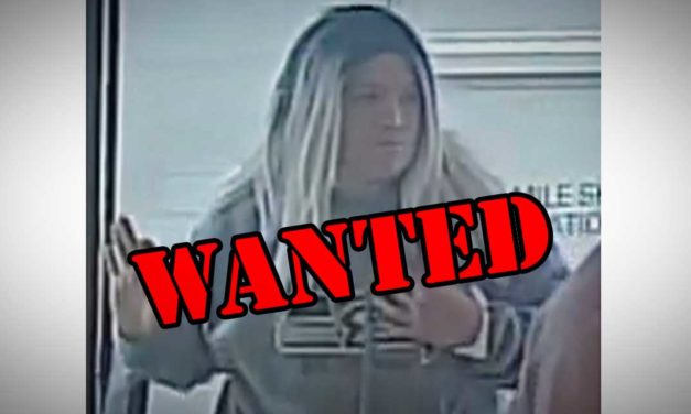 Boulevard Park Retirement Home victim to purse snatching Tuesday; recognize this suspect?