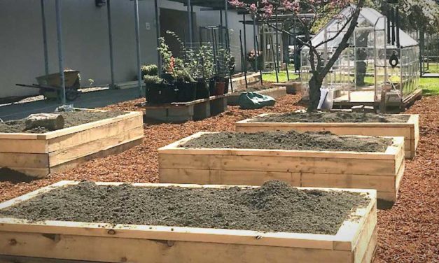 Teachers at Evergreen High School build garden beds for Wolverines