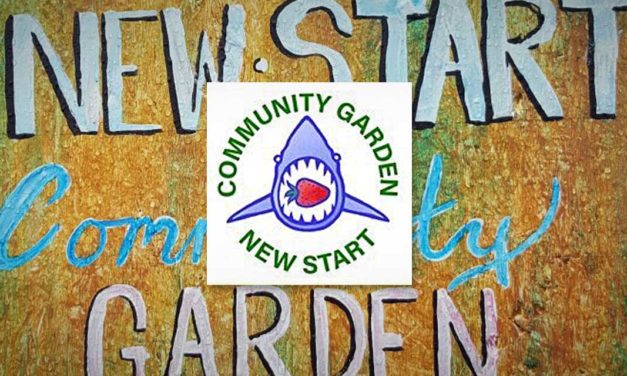 CALL FOR ARTISTS: New Start Community Garden Fence Art project