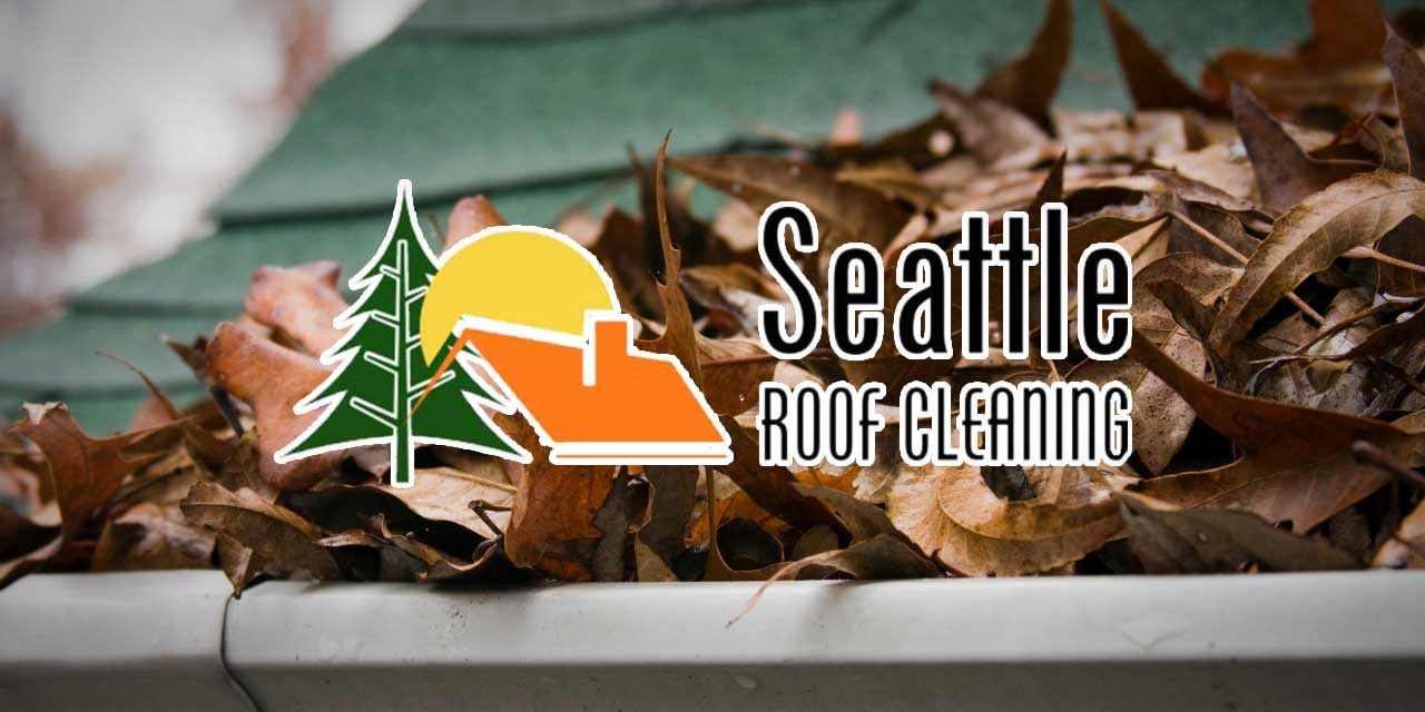 Are you ready for the incoming rain? Seattle Roof Cleaning is!
