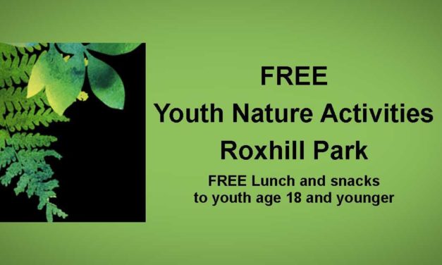 FREE Nature Activities for Youth at Roxhill Park during month of August