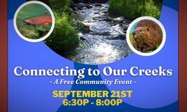 ‘Connecting to Our Creeks’ will be Sept. 21 at Duwamish Longhouse and Cultural Center