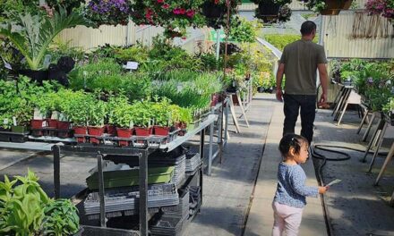 Ideas to celebrate Dad abound at Zenith Holland Nursery in Des Moines