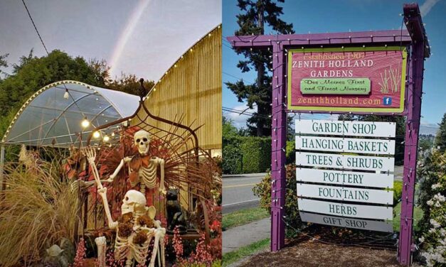 A Harvest of Fall favorites + savings up to 40% off awaits at Zenith Holland Gardens Nursery