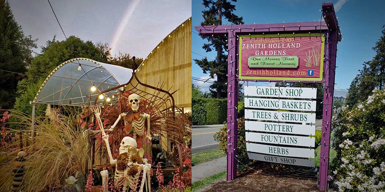 A Harvest of Fall favorites + savings up to 40% off awaits at Zenith Holland Gardens Nursery