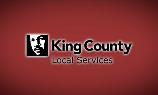 Grants available to help small businesses in unincorporated King County recover from vandalism, break-ins