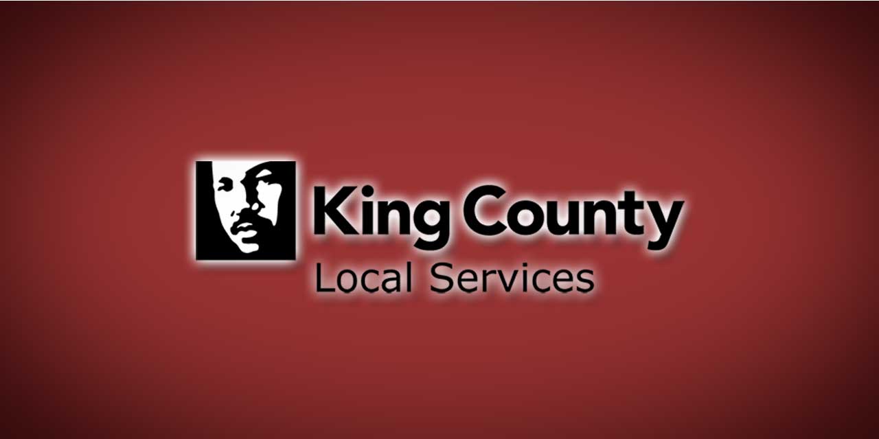 Grants available to help small businesses in unincorporated King County