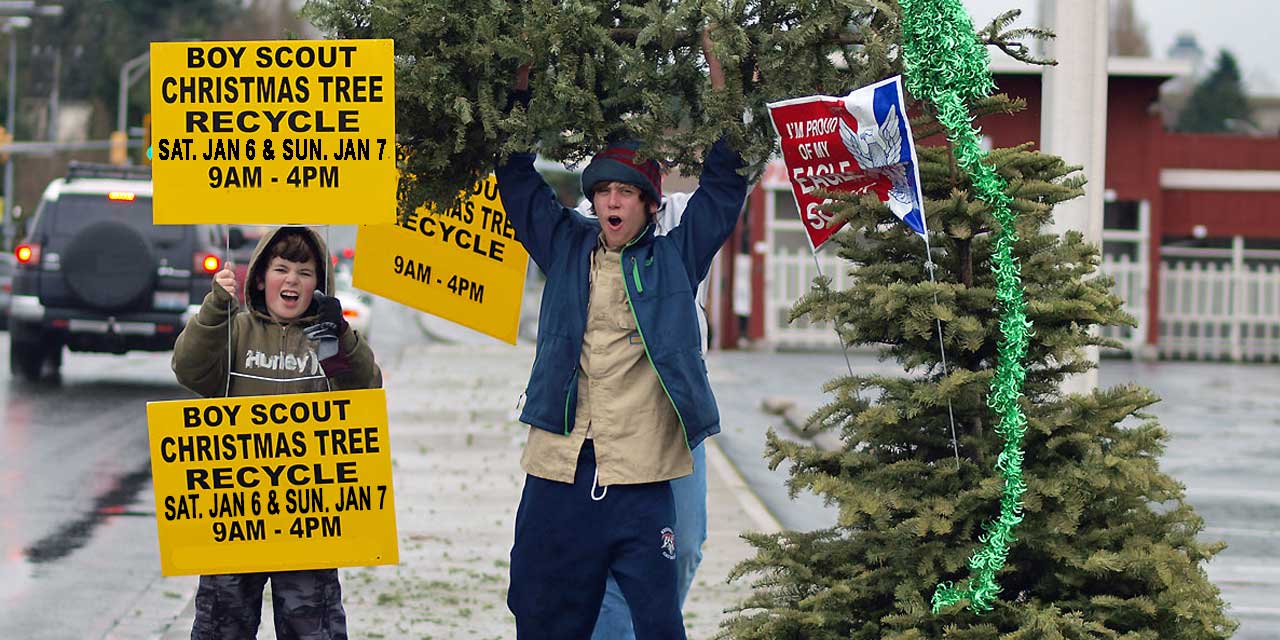Local Scouts will recycle Christmas Trees this weekend