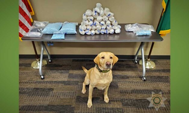 King County Sheriff’s Office arrests 2, seizes 71,000 fentanyl pills, meth, heroin & more in big drug bust