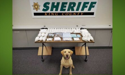 King County Sheriff’s Office makes major narcotics bust in southwest King County