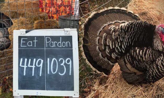 REMINDER: Have you voted yet? ‘Dinner or Pardon’ Food Drive ends on Thanksgiving Day