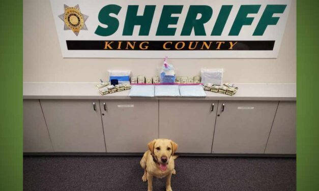 King County Sheriff’s Office seizes $338K in drugs, arrests 2 in operation targeting Sinaloa Cartel