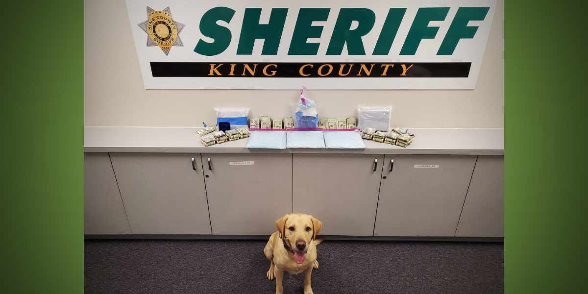 King County Sheriff’s Office seizes $338K in drugs, arrests 2 in operation targeting Sinaloa Cartel