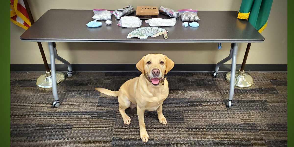King County Sheriff’s Deputies bust drug trafficking operation stretching from White Center to Mount Vernon