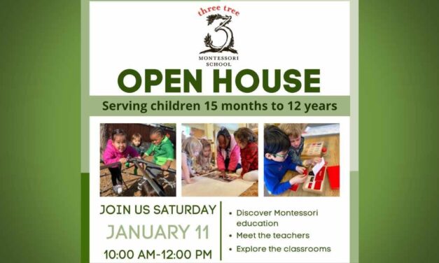 See what Three Tree Montessori School has to offer your family!