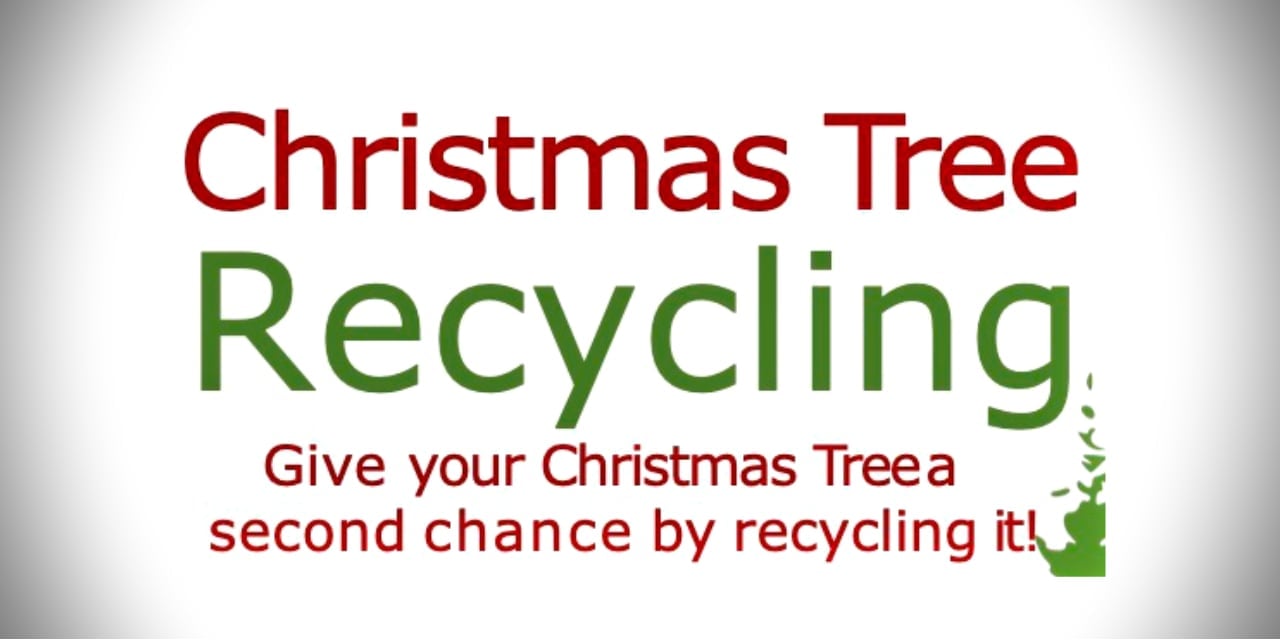 Local Scouts’ annual Christmas Tree Recycling service will be weekend of Jan. 4–5
