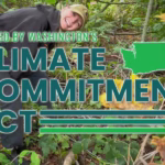 Volunteers to plant 80 trees at White Center Heights Park on Saturday, Oct. 4