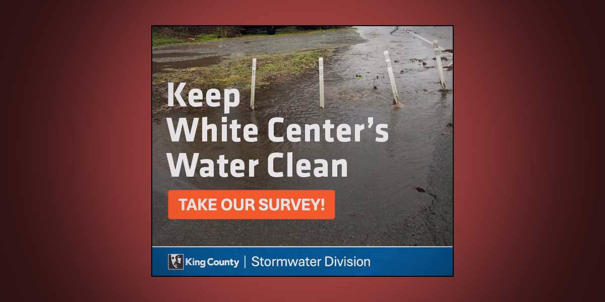 King County seeking public input to update stormwater management plan in White Center
