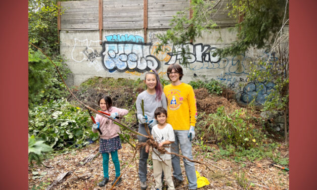 Volunteers needed for forest restoration at White Center Heights Park on Saturday, May 9