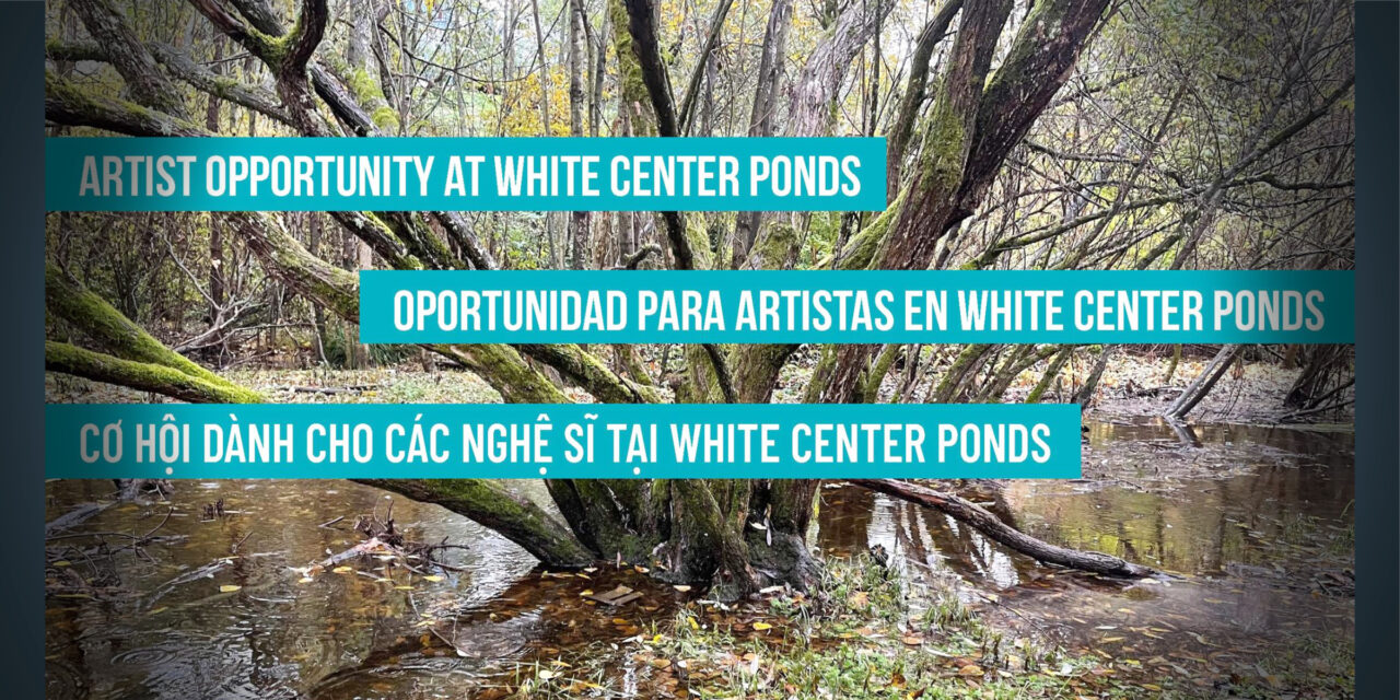CALL FOR ART: 4Culture seeks artists for White Center Ponds public art project