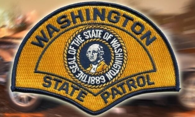Washington State Patrol releases video, photos of van sought in deadly SR 509 hit and run