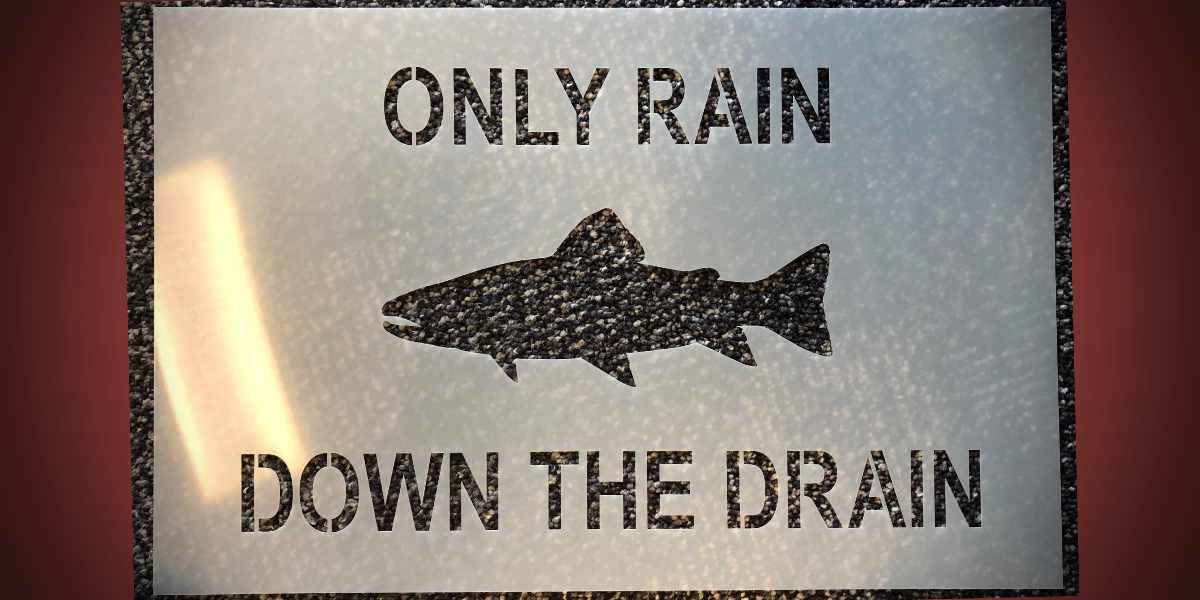 King County urges eligible homeowners to apply for stormwater discount